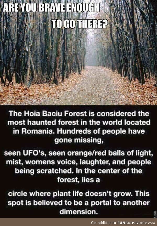 Hoia Baciu Forest