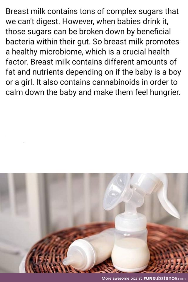 Breast milk contains cannabinoids