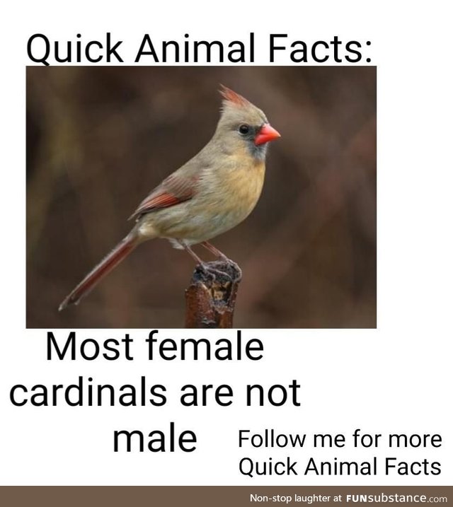 Quick animal fact #8