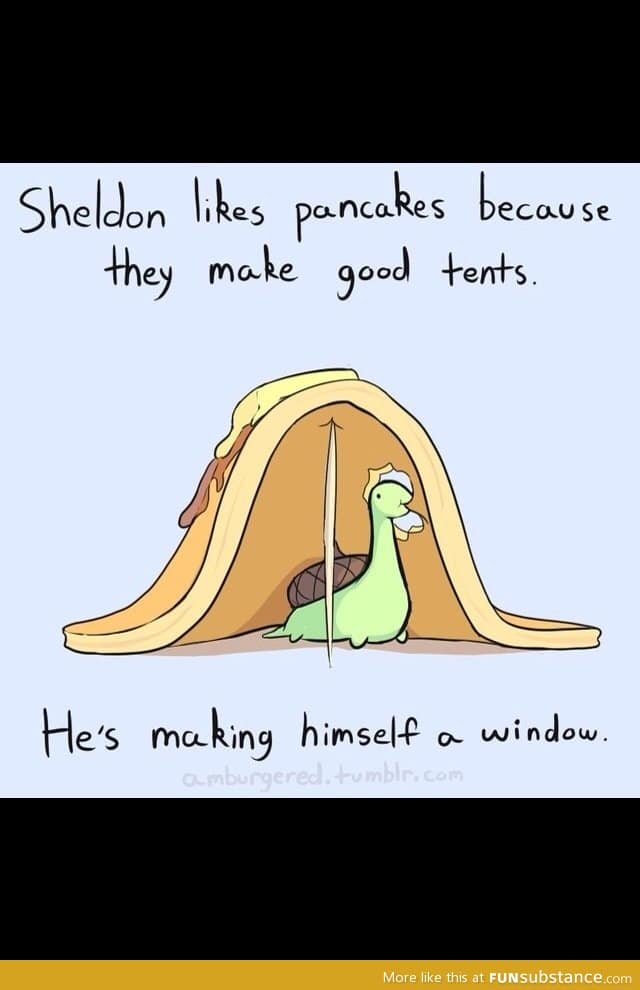 This is why sheldon is a winner