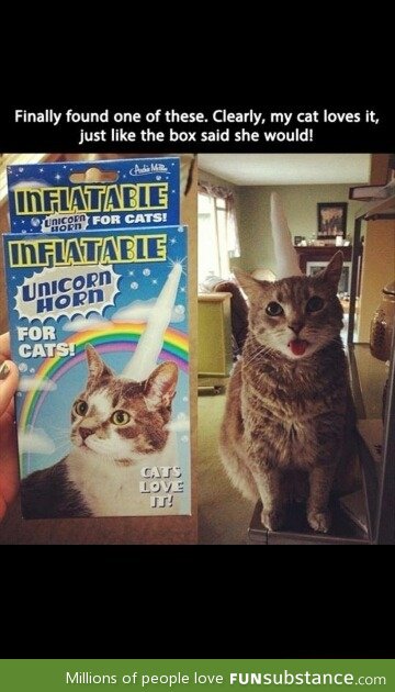 Unicorn horn for cats