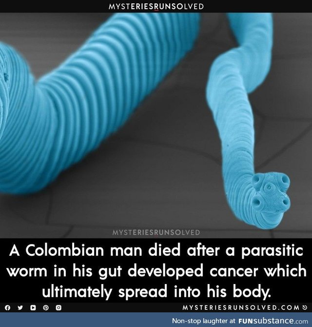 Parasitic worm got cancer