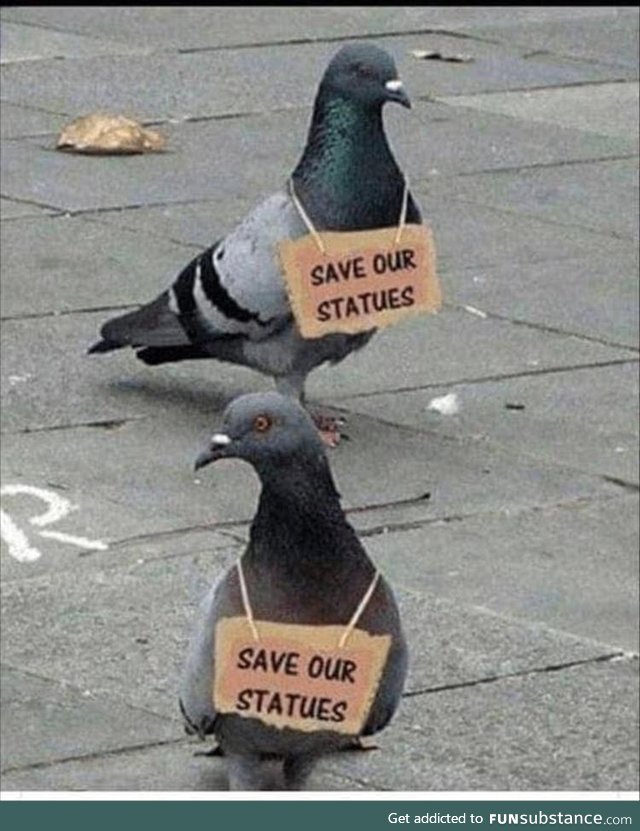 Save our statues