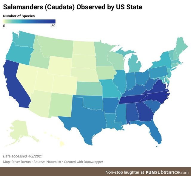 The Salamander Science we've all been waiting for