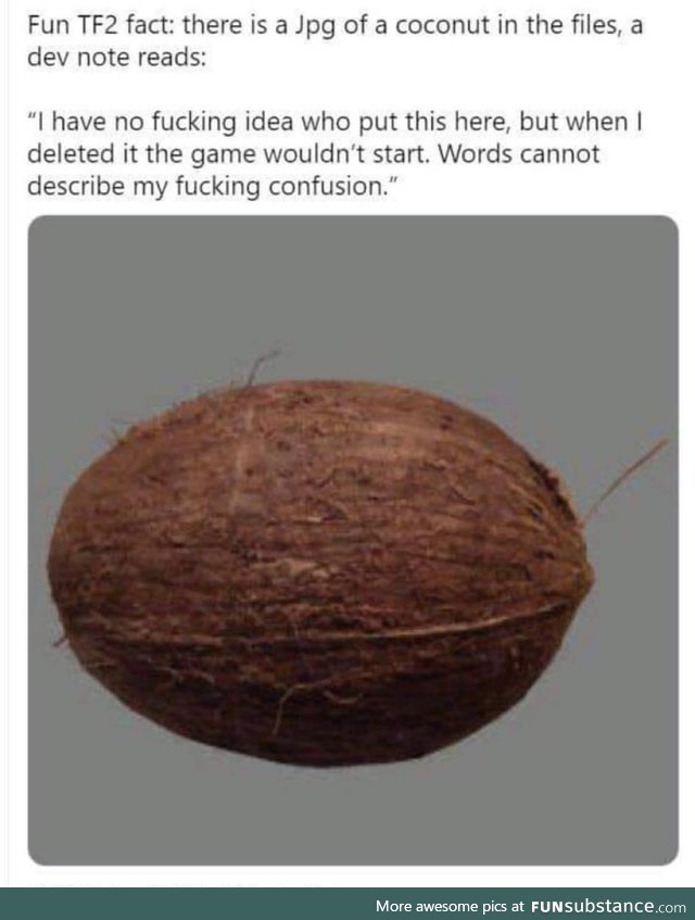 Praise the coconut