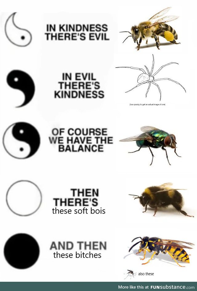 Nobody likes wasps