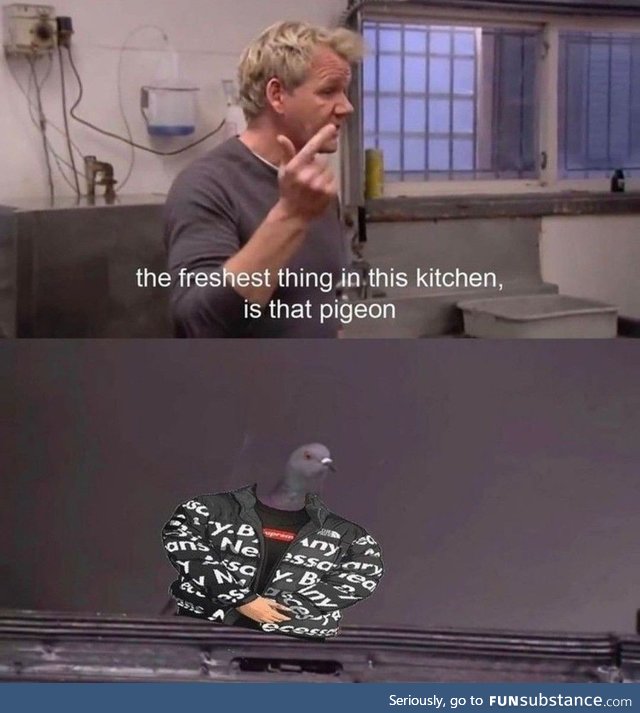 The pigeon is dripping