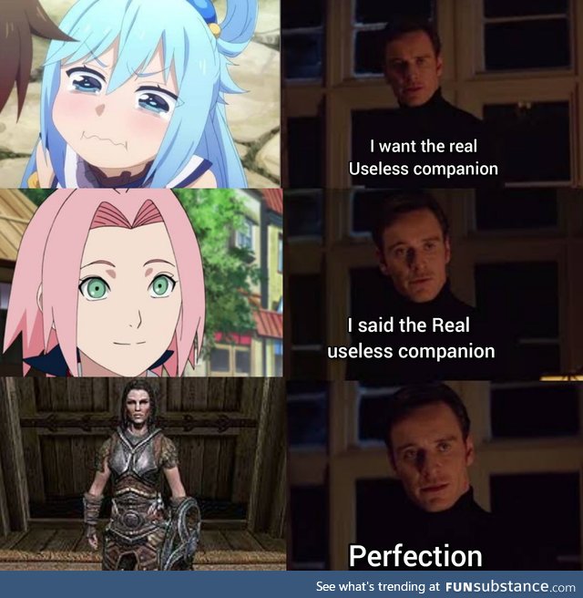 The real useless companion