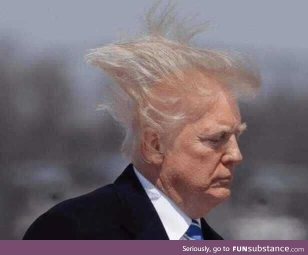 Donald Trump transforming into a super saiyan for the first time