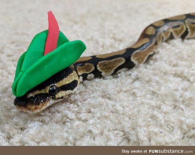 Making Hats For Snakes