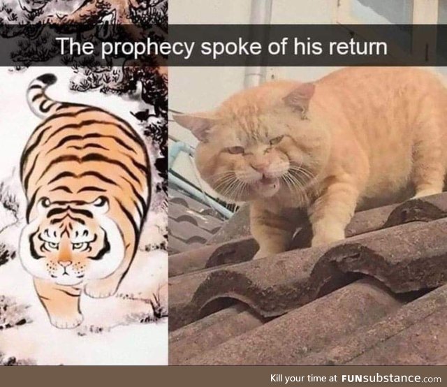 Step back, he's returned