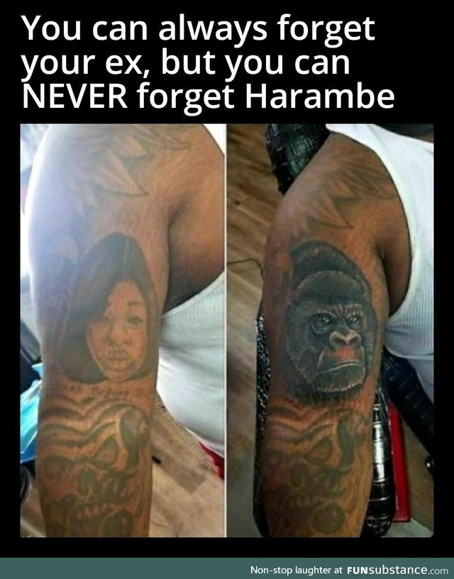 It's already been 5 years... We miss you Harambe