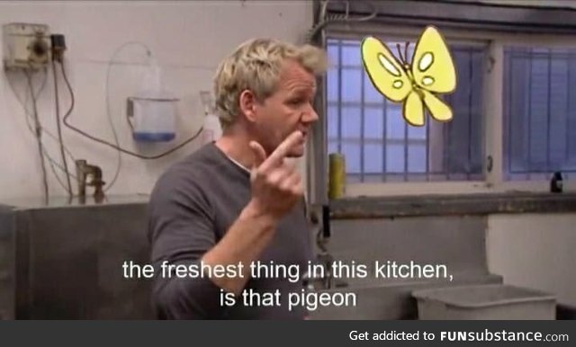 Gordon gets it