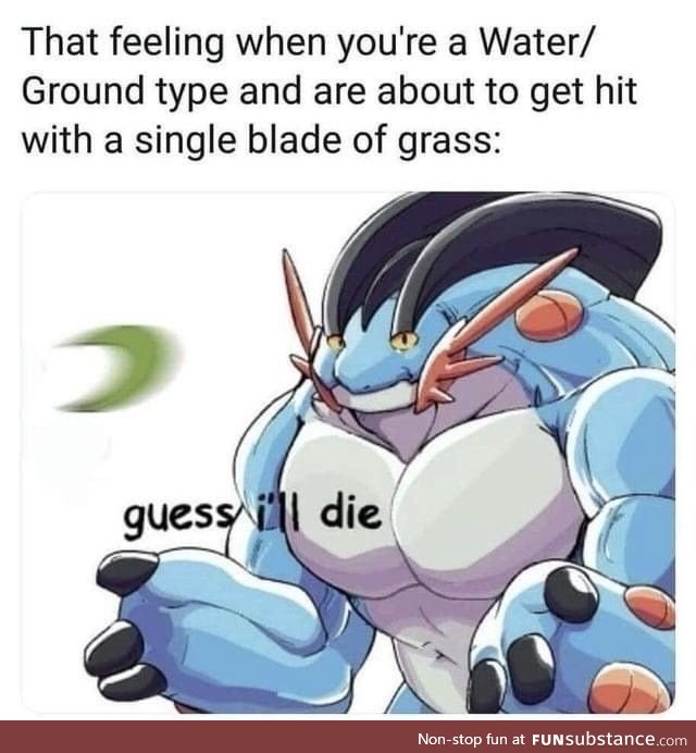 Imagine using Water and Ground pokemon