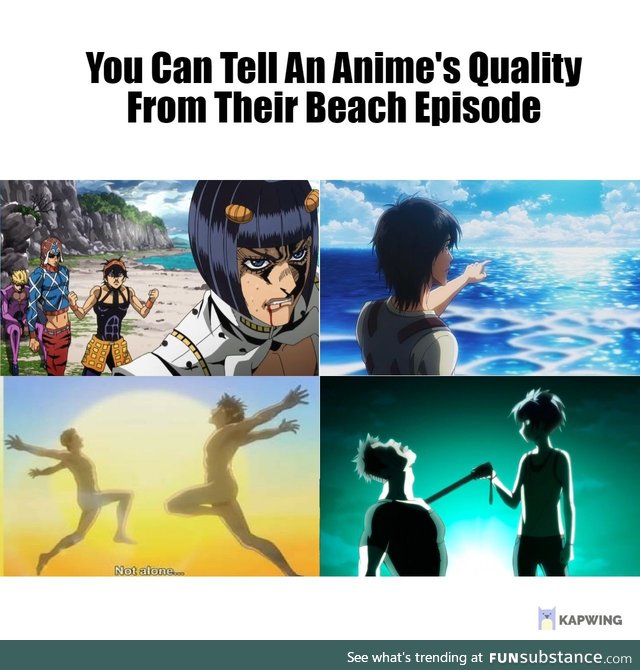 Anime's whos beach episodes have plot instead of "plot"