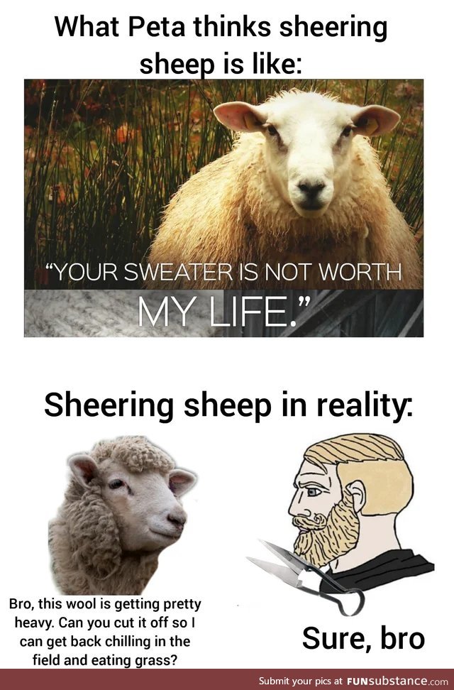 Baaa