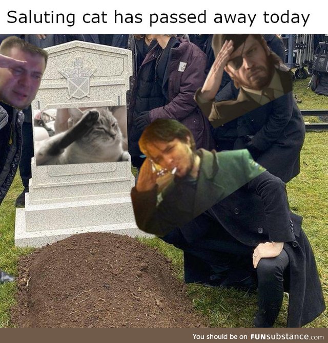 So long partner