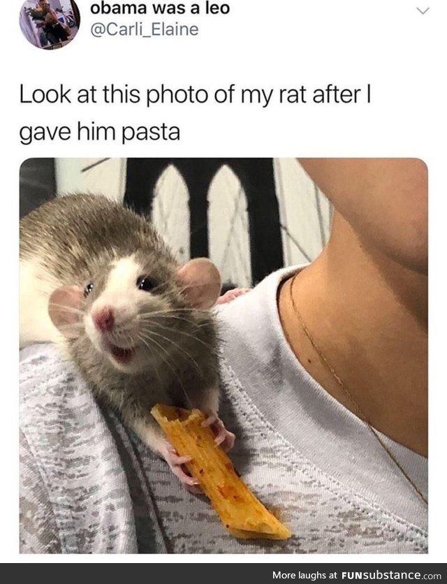 Ratatouille, the prequel