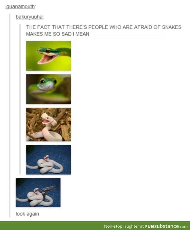 Cute snakes