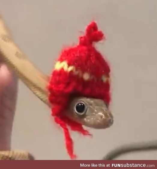 Snek with Hat