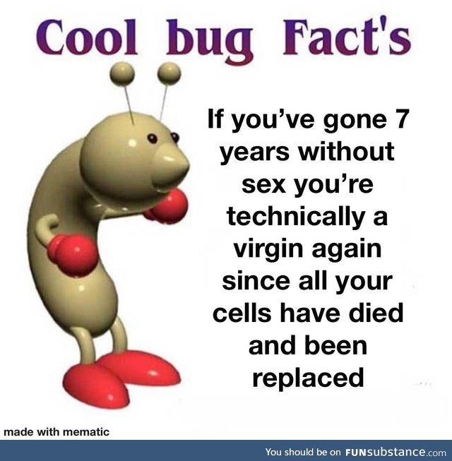 Cool bug facts, this is oc