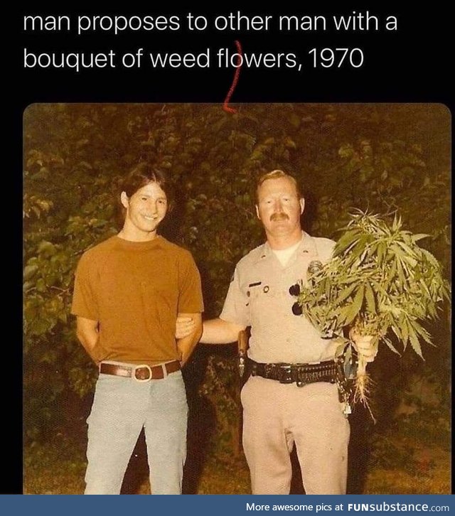 Man proposes to other man with a bouquet of weed flowers, 1970