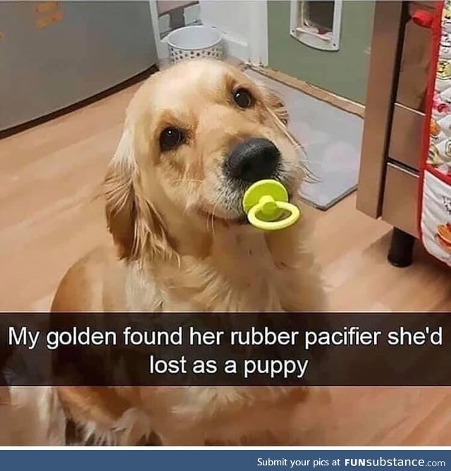 I pacifically like golden retrievers