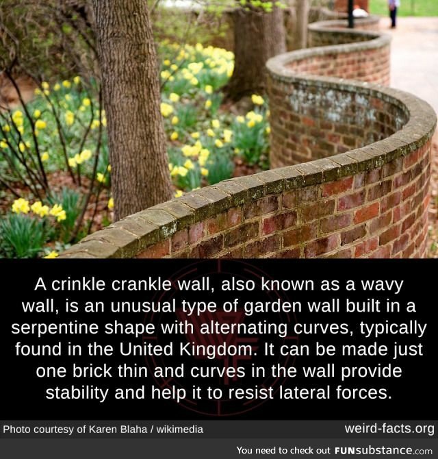 Crinkle Crankle Wall