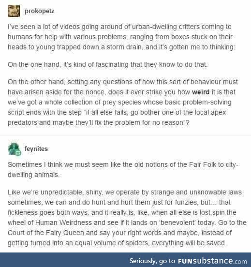 Humans are fairies