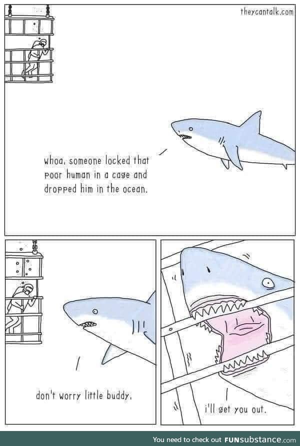 Shark