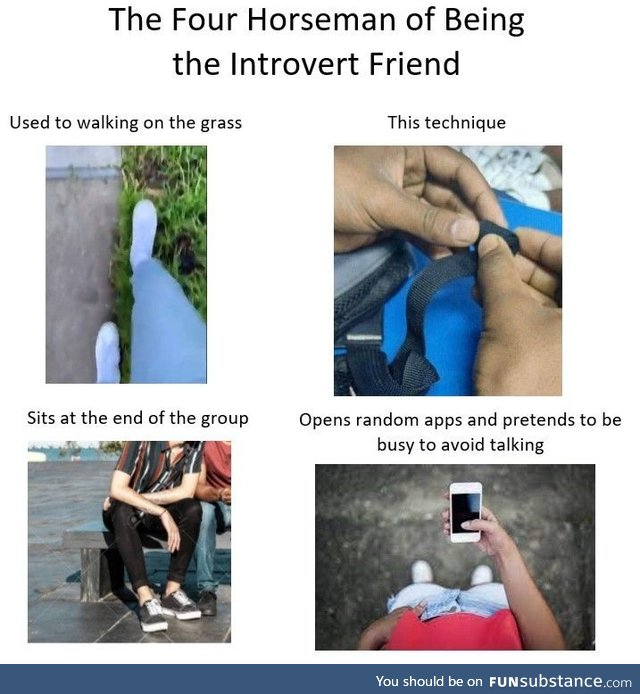 Made by a professional introvert