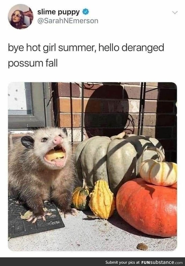 Welcome deranged possum fall