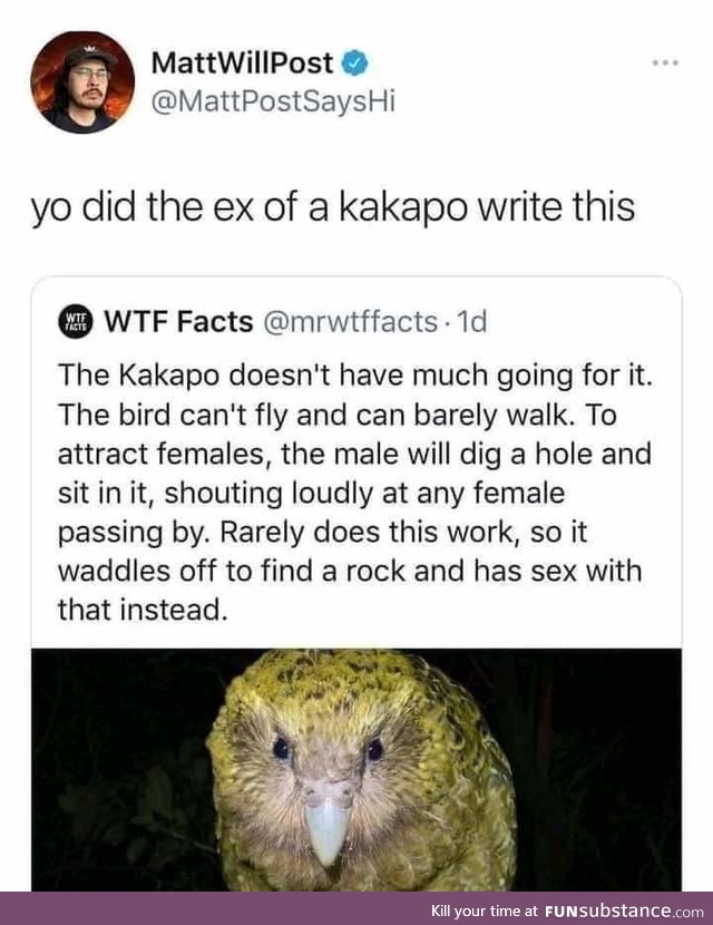 Kakapo