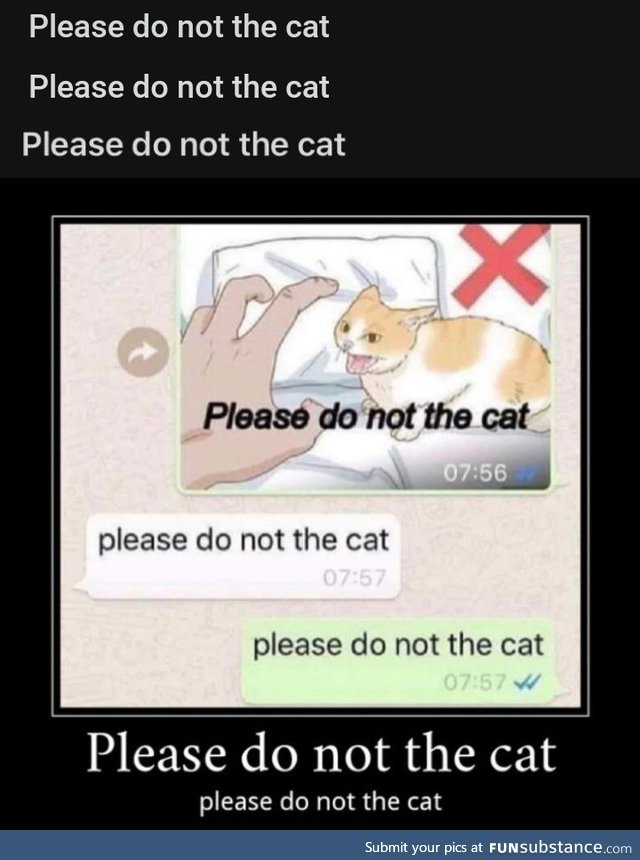 Please do not the cat