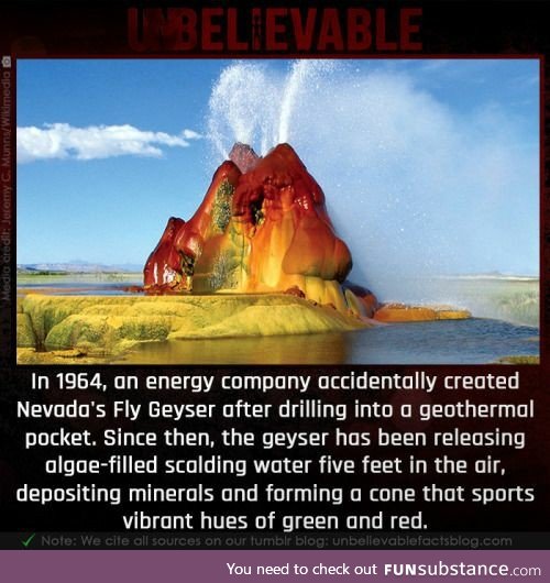 Nevada's Fly Geyser