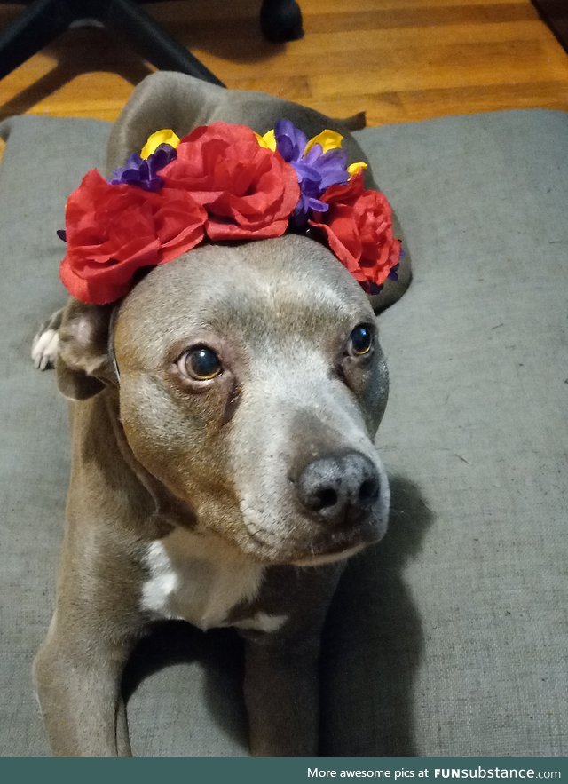 flower girl