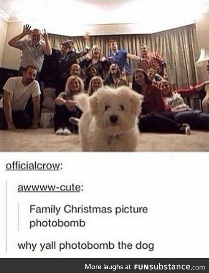 Photobombing the dog