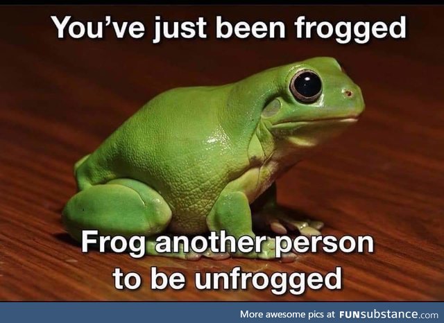 This is a froggery