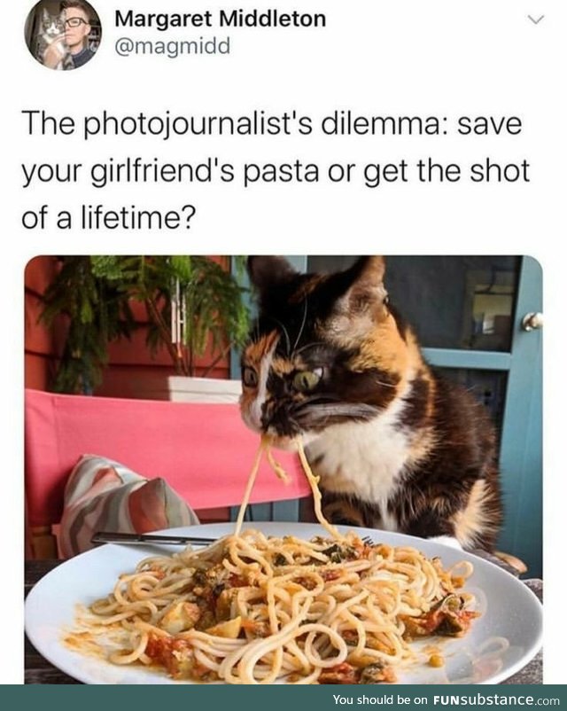 Don't save the spaghetti [Photojournalist's dilemma]