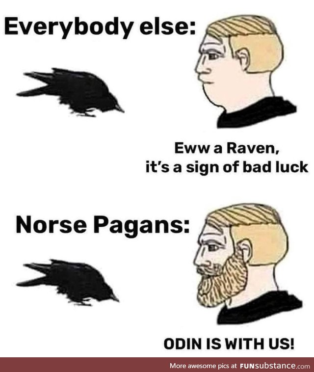 Raven perception