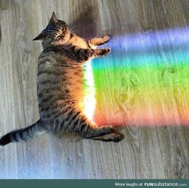 The original Nyan Cat