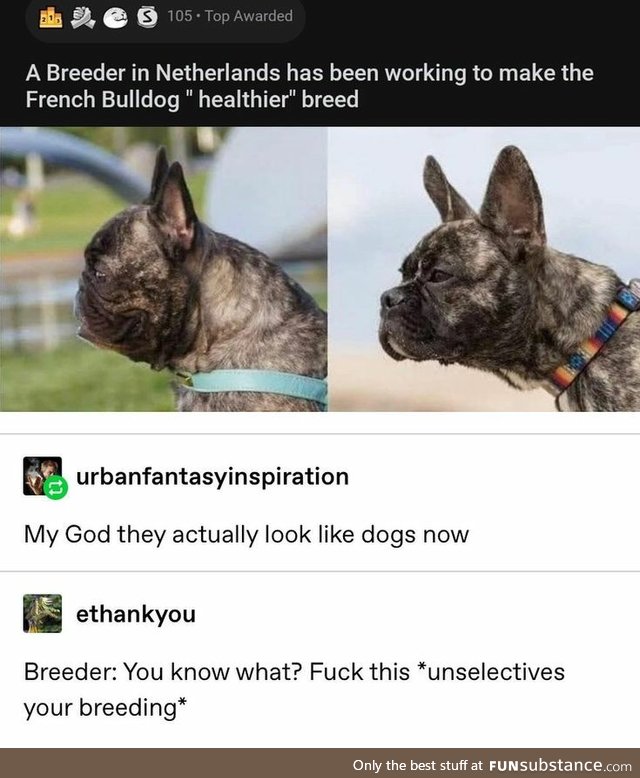 Make French bull dogs healthy again