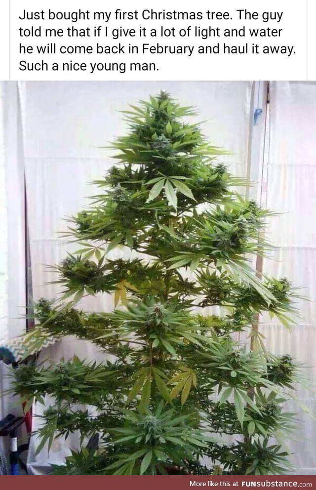 Weed wish you a Merry Christmas