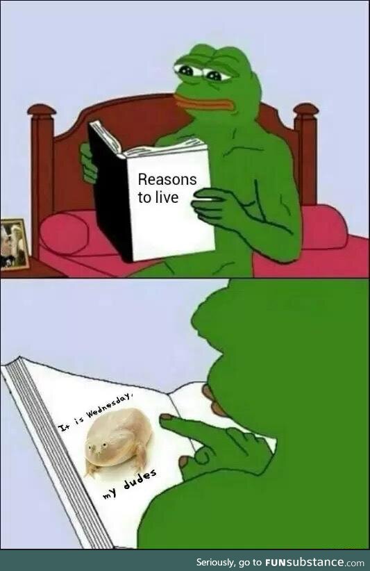 Froggo Fun R #11 - Good Reason