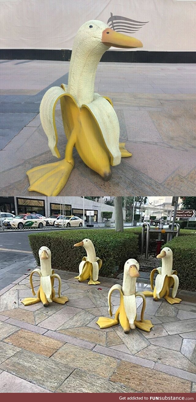 These ducks are bananas