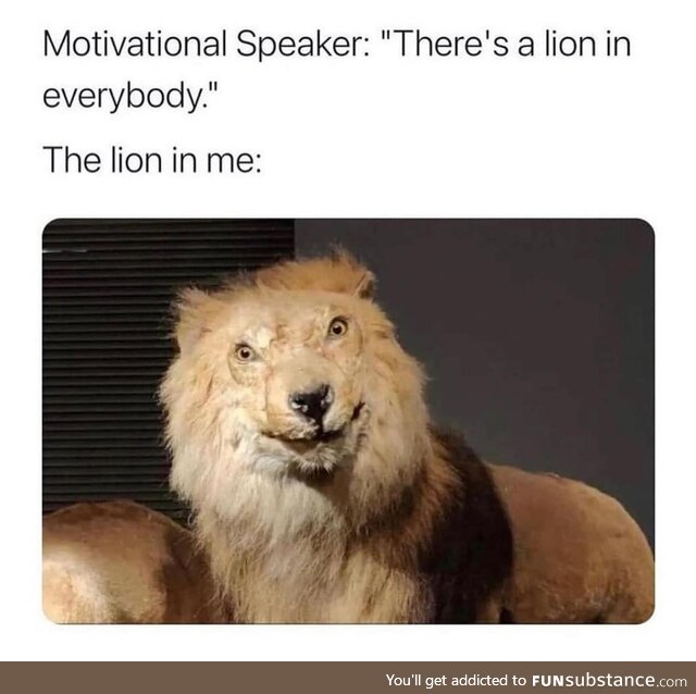 Retarded lion