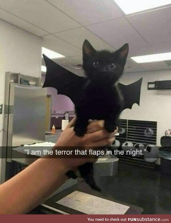 The terror that flaps in the night