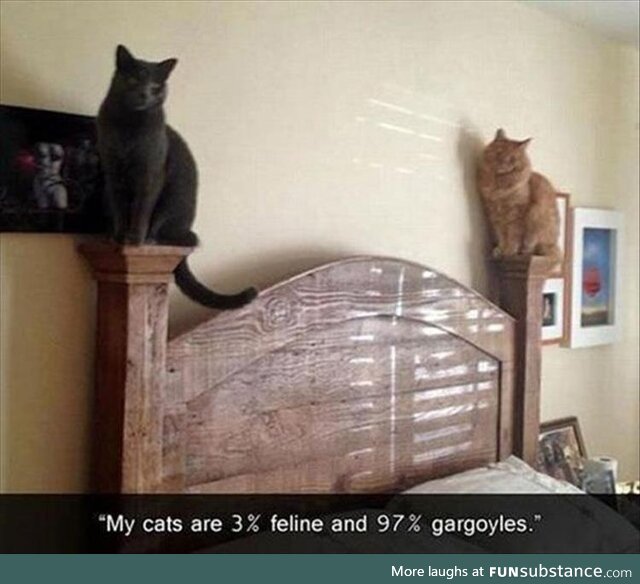 Gargoyle Cats