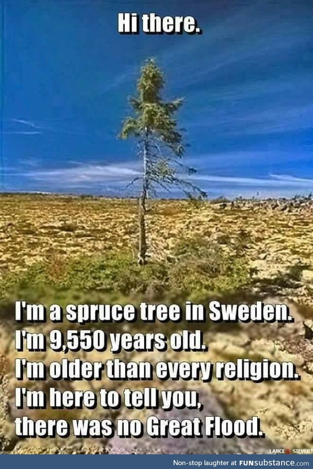 Believe in the Tree