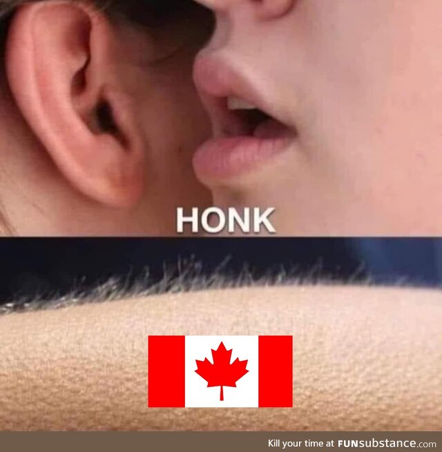 Honk